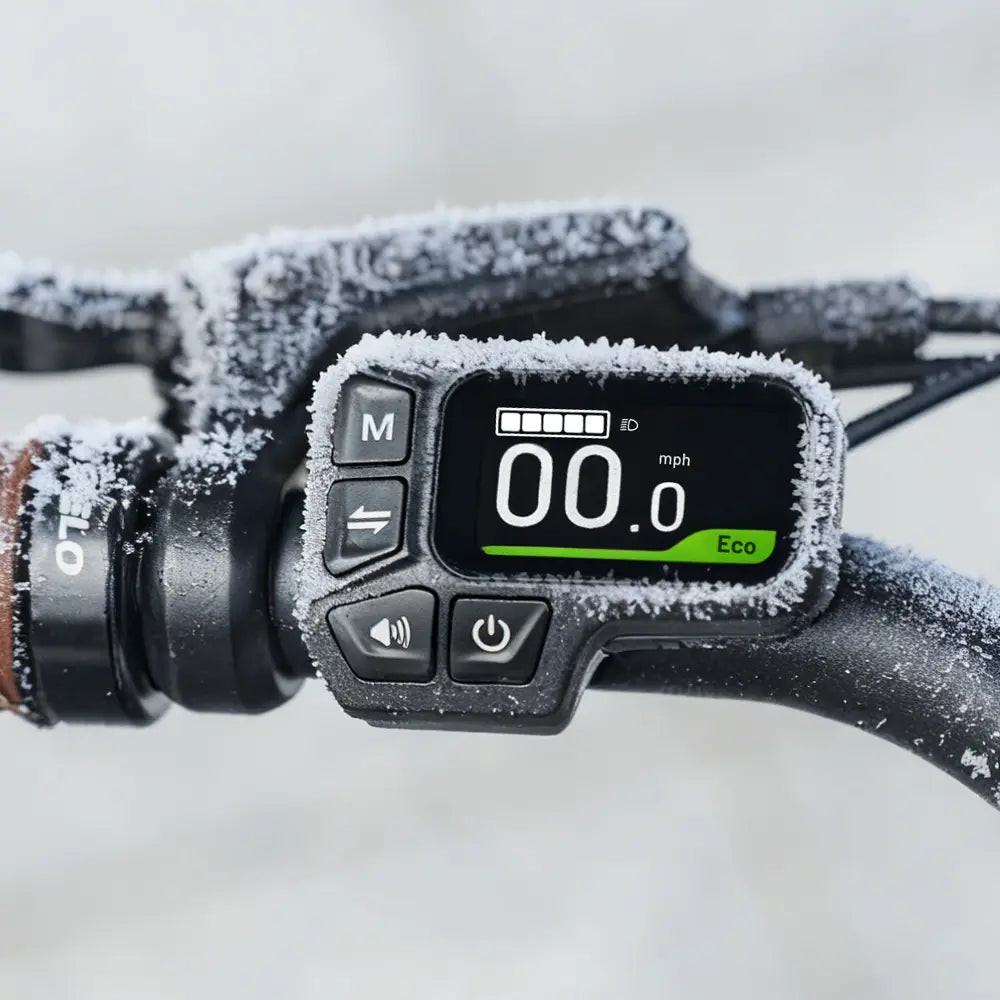 Fiido C11 Pro Vélo Électrique Léger Urbain