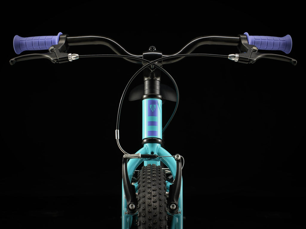 Precaliber 20 Freewheel - TREK