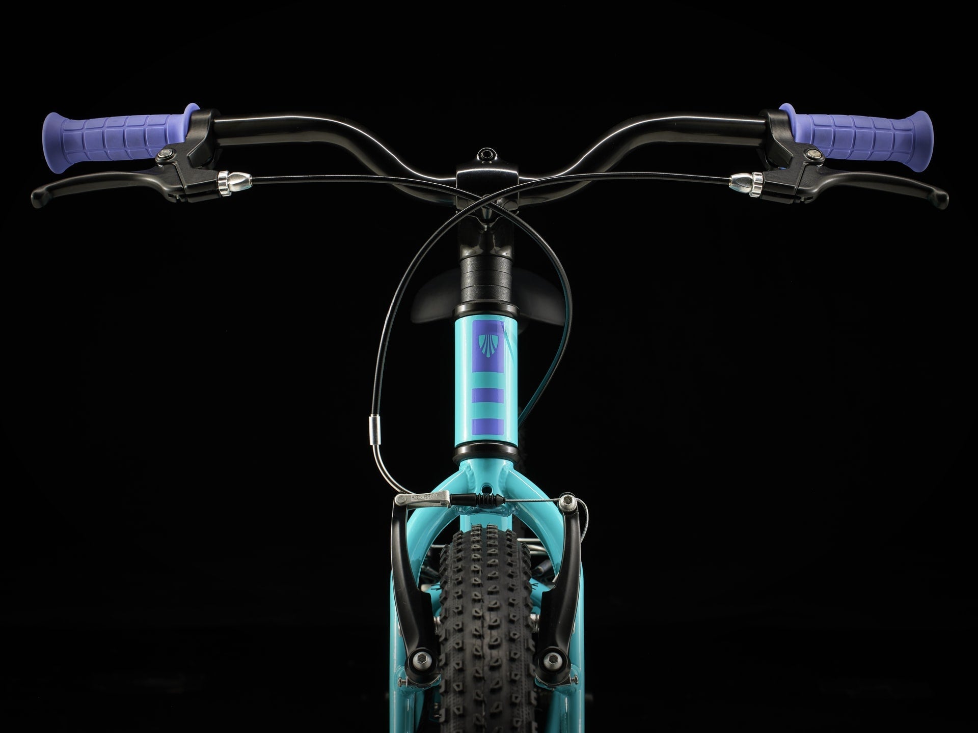 Precaliber 20 Freewheel - TREK